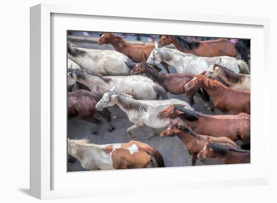 Herd of Horses, -Saca De Las Yeguas- Festival-Felipe Rodriguez-Framed Photographic Print