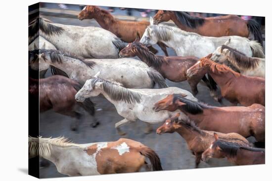 Herd of Horses, -Saca De Las Yeguas- Festival-Felipe Rodriguez-Stretched Canvas