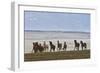 Herd of Icelandic Horses Running, Northern Iceland-Arctic-Images-Framed Photographic Print