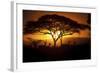 Herd Of Impala (Aepyceros Melampus) Silhouetted At Sunset, Ngorongoro Conservation Area, Tanzania-Juan Carlos Munoz-Framed Photographic Print