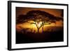 Herd Of Impala (Aepyceros Melampus) Silhouetted At Sunset, Ngorongoro Conservation Area, Tanzania-Juan Carlos Munoz-Framed Photographic Print