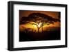 Herd Of Impala (Aepyceros Melampus) Silhouetted At Sunset, Ngorongoro Conservation Area, Tanzania-Juan Carlos Munoz-Framed Photographic Print