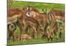 Herd of Impala, by Chobe River, Chobe NP, Kasane, Botswana, Africa-David Wall-Mounted Photographic Print