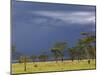 Herd of male Impala, Lake Nakuru, Lake Nakuru National Park, Kenya-Adam Jones-Mounted Photographic Print