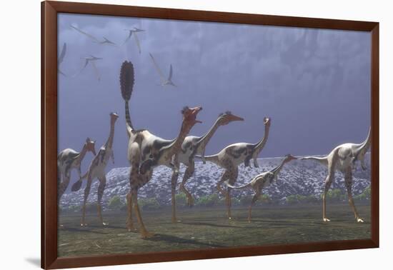 Herd of Mononykus Followed by a Flock of Pteranodons-Stocktrek Images-Framed Art Print