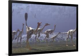 Herd of Mononykus Followed by a Flock of Pteranodons-Stocktrek Images-Framed Art Print