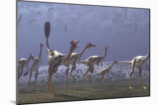 Herd of Mononykus Followed by a Flock of Pteranodons-Stocktrek Images-Mounted Premium Giclee Print