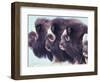 Herd of Muskoxen, Nunivak Island, Alaska, USA-Art Wolfe-Framed Photographic Print