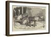 Herd of Rein-Deer, in the Gardens of the Zoological Society, Regent's Park-null-Framed Giclee Print