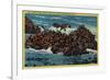 Herd of Seals at Seal Rocks near Cliff House - San Francisco, CA-Lantern Press-Framed Art Print