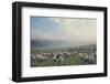 Herd Of Sheep On Beautiful Mountain Meadow-conrado-Framed Photographic Print