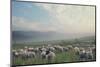 Herd Of Sheep On Beautiful Mountain Meadow-conrado-Mounted Photographic Print