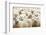 Herd of Sheep-DmitryP-Framed Photographic Print