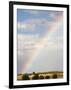 Herd of Springbok (Antidorcas Marsupialis) in Landscape, Kgalagadi Transfrontier Park, South Africa-Ann & Steve Toon-Framed Photographic Print