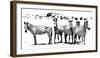 Herd of Stripes-null-Framed Giclee Print