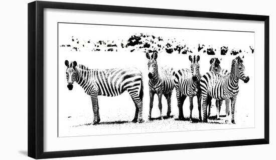 Herd of Stripes-null-Framed Giclee Print