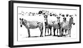 Herd of Stripes-null-Framed Giclee Print