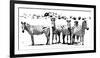 Herd of Stripes-null-Framed Giclee Print