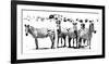 Herd of Stripes-null-Framed Giclee Print