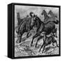 Herd of Tarpan, 1893-null-Framed Stretched Canvas