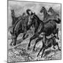 Herd of Tarpan, 1893-null-Mounted Giclee Print