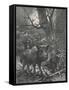 Herd of Wild Boar Wander Through the Woods-Specht-Framed Stretched Canvas