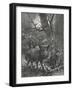 Herd of Wild Boar Wander Through the Woods-Specht-Framed Photographic Print