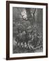 Herd of Wild Boar Wander Through the Woods-Specht-Framed Photographic Print