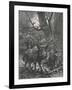 Herd of Wild Boar Wander Through the Woods-Specht-Framed Photographic Print