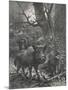 Herd of Wild Boar Wander Through the Woods-Specht-Mounted Photographic Print