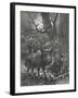 Herd of Wild Boar Wander Through the Woods-Specht-Framed Photographic Print