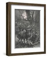 Herd of Wild Boar Wander Through the Woods-Specht-Framed Photographic Print