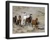 Herd of Wild Horses, Cantering Across Sagebrush-Steppe, Adobe Town, Wyoming, USA-Carol Walker-Framed Photographic Print