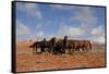 Herd of Wild Horses in Red Rock Country of Wyoming, USA-Lynn M^ Stone-Framed Stretched Canvas