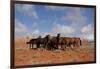 Herd of Wild Horses in Red Rock Country of Wyoming, USA-Lynn M^ Stone-Framed Photographic Print