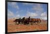 Herd of Wild Horses in Red Rock Country of Wyoming, USA-Lynn M^ Stone-Framed Photographic Print