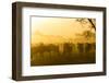 Herd of Wildebeests Silhouetted in Golden Dust, Ngorongoro, Tanzania-James Heupel-Framed Photographic Print