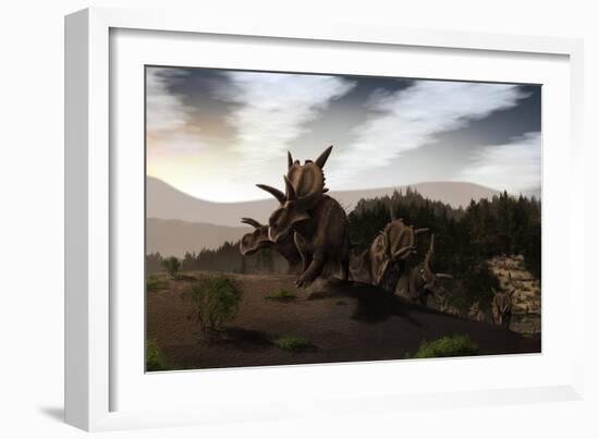 Herd of Xenoceratops Foremostensis from the Cretaceous Period-null-Framed Premium Giclee Print