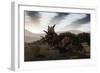 Herd of Xenoceratops Foremostensis from the Cretaceous Period-null-Framed Premium Giclee Print