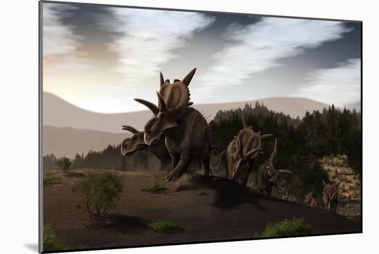 Herd of Xenoceratops Foremostensis from the Cretaceous Period-null-Mounted Premium Giclee Print