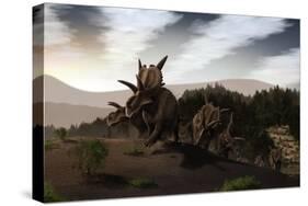 Herd of Xenoceratops Foremostensis from the Cretaceous Period-null-Stretched Canvas