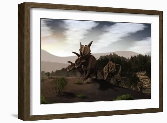 Herd of Xenoceratops Foremostensis from the Cretaceous Period-null-Framed Art Print