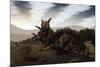 Herd of Xenoceratops Foremostensis from the Cretaceous Period-null-Mounted Art Print