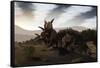 Herd of Xenoceratops Foremostensis from the Cretaceous Period-null-Framed Stretched Canvas