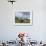 Herd of Yak, Including a White Yak, Lake Son-Kul, Kyrgyzstan, Central Asia-Upperhall-Framed Photographic Print displayed on a wall