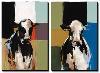 Herd That-Sydney Edmunds-Stretched Canvas