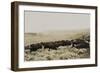 Herding Buffalo-null-Framed Art Print