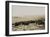 Herding Buffalo-null-Framed Art Print