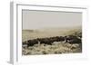 Herding Buffalo-null-Framed Art Print