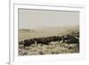 Herding Buffalo-null-Framed Art Print